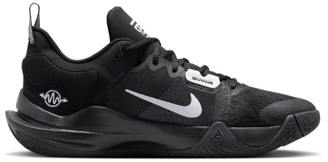Pánská basketbalová obuv Nike Giannis Immortality 2